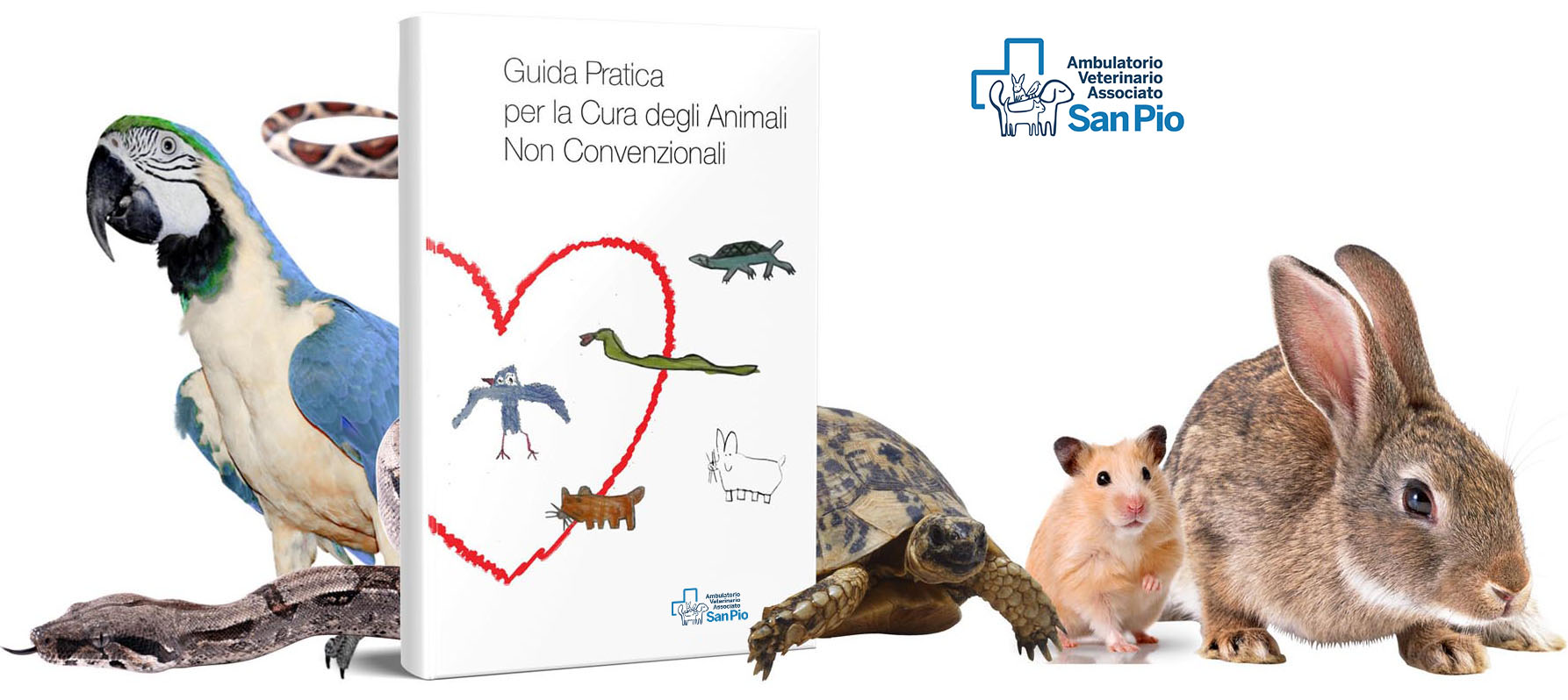 Ambulatorio Veterinario San Pio